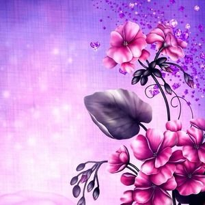 Meet your Posher, Jordi